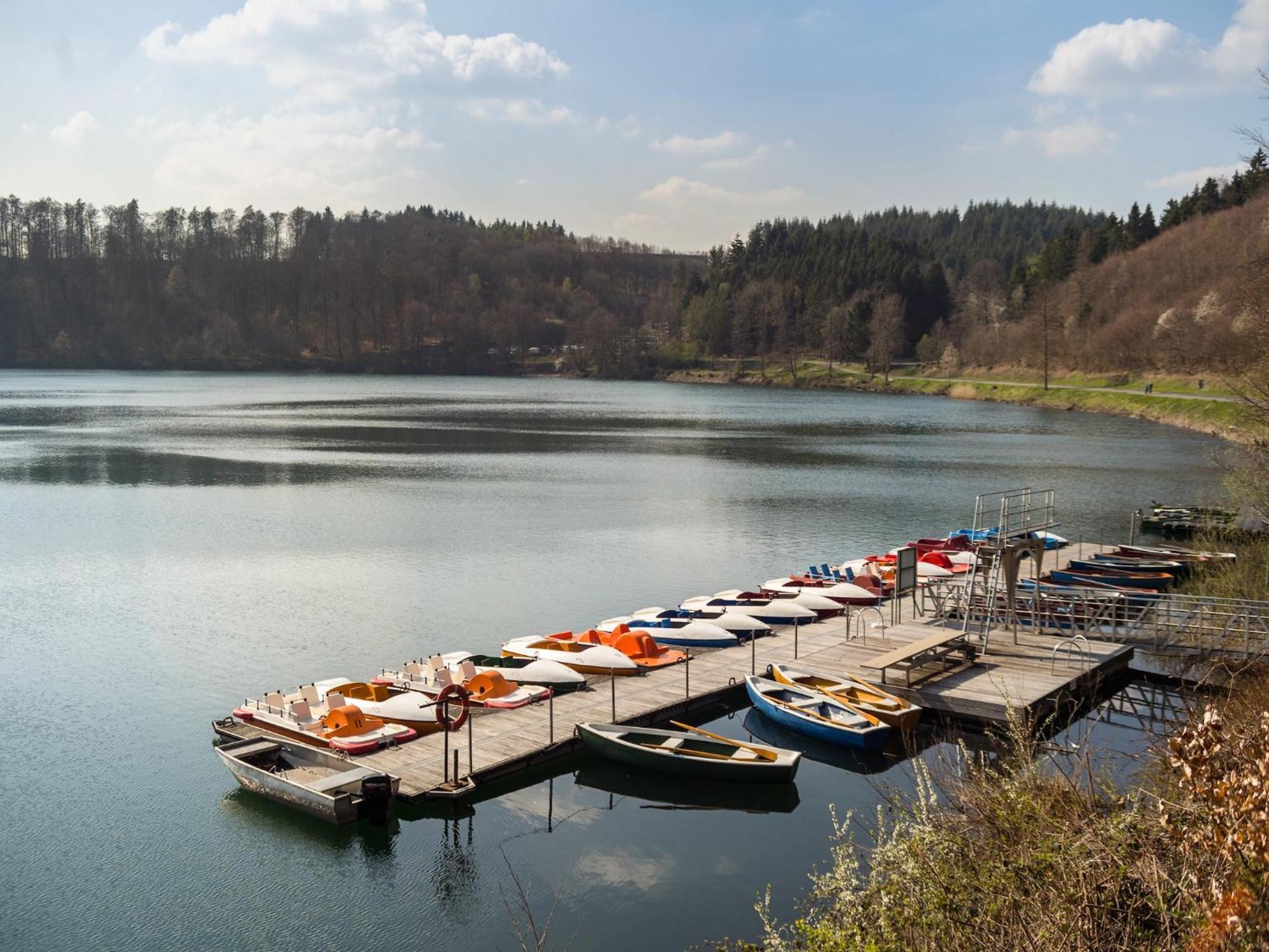 Dreamy Holiday Home In Ellscheid With Terrace Esterno foto